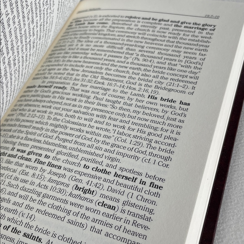 The MacArthur New Testament Commentary - Revelation 12-22 - Picture 6 of 6